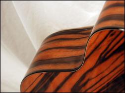 macassar ebony guitar