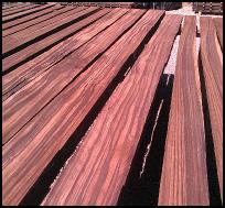 macassar ebony matched boards