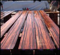 macassar ebony matched furniture boards