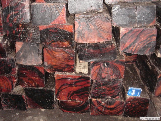 Macassar Ebony Cant Ends