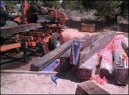 macassar ebony saw mill