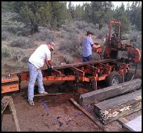 macassar ebony sawmill
