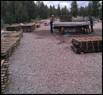 macassar ebony lumber yard