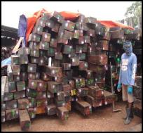 macassar ebony stockpile