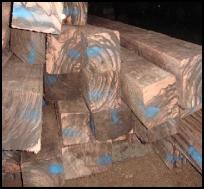 macassar ebony veneer cants