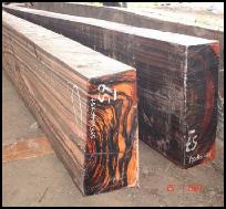 macassarebonyquartersaw