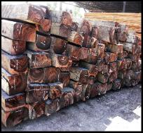 macassar ebony lumber